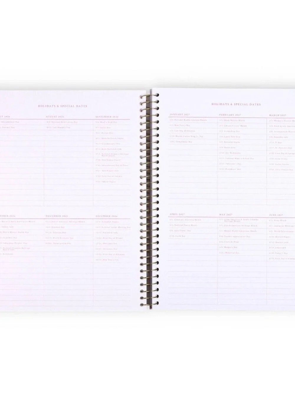 NWT LoveShackFancy x Yoobi 2026-2027 Teacher Planner Ribbon Rosa - Sterling Dusk